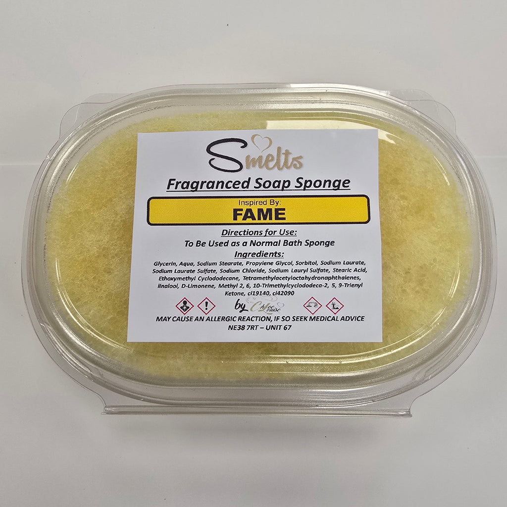Fragrance Soap Sponge